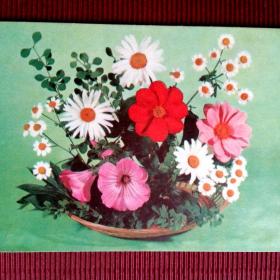 Композиция из цветов. Б.Круцко 1979 г.