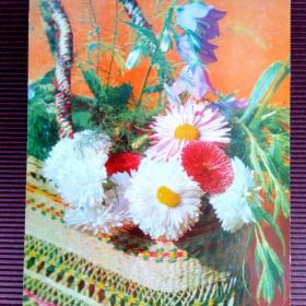 Цветы в корзине. В. Герман 1971 г