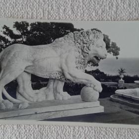 Крым. Алупка. Дворец ."Рычащий лев". 1953 г. (М) 