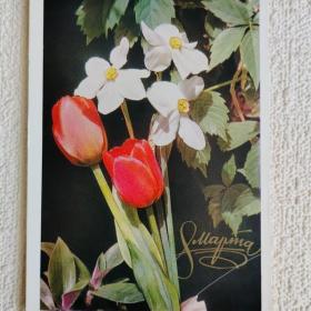 8 Марта. Букет. Тюльпаны. Нарциссы. Л. Данилкина. 1975 г. (М)