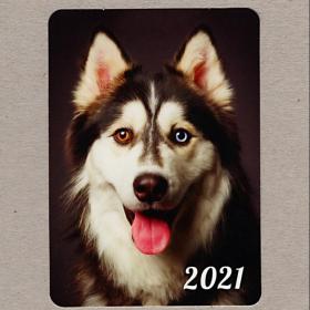Календарь карманный, Россия, 2021, домашние животные, собака, пес, язык, красивые глаза, взгляд