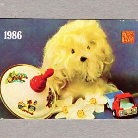 Календарь карманный, СССР, Госстрах, собачка, юла, машинка, 1986 год