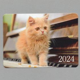 Календарь карманный Россия 2024 Новый год кот котик кисуля взгляд питомцы домашние животные усы