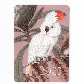 Календарь карманный Россия 2023 флора фауна 10х7 см частичная лакировка попугай пальма ветка