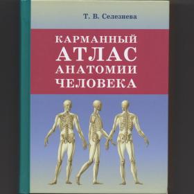 Селезнева Карманный атлас анатомии человека пособие cтроение кости мышцы скелет сустав сердце мозг