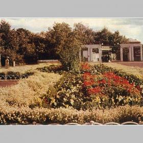 Открытка СССР. Мичуринск. Городской сад, 1967 год, чистая (клумба, парк, цветы)