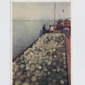 Открытка СССР Волга арбузы баржа перевозка 1955 Воробьев чистая соцреализм видовая река флот природа