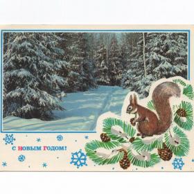 Открытка СССР Новый год 1975 Ахмедов Костенко подписана зимний лес лыжня белка белочка шишки сугроб