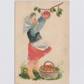 Открытка иностранная Девочка 1950-е Будапешт чистая соцреализм корзина яблоки детство дети урожай