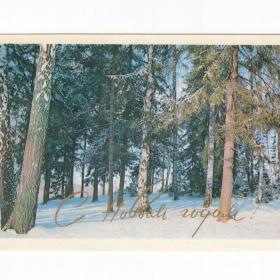 Открытка СССР Новый год 1976 Чверткин чистая детство новогодняя зимний пейзаж лес елка береза сугроб