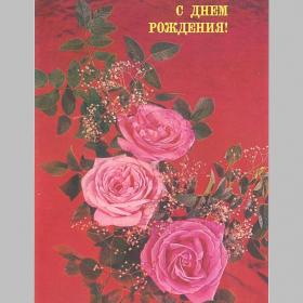 Открытка СССР. С днем рождения! Фото И. Дергилева, 1987 год, чистая (розы)