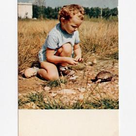 Открытка СССР. Черепашка. Елисеев, 1969, чистая, дети, детство, черепаха, мальчик, игра, интерес