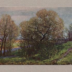 Открытка СССР. Весеннее утро. Герасимов, 1955, чистая, живопись, природа, деревья, река, весна