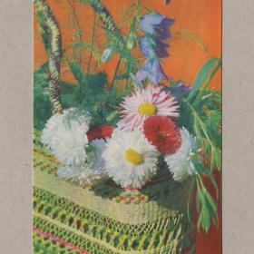 Открытка СССР Цветы в корзине Герман 1971 чистая корзинка букет подарок колокольчик астра аспарагус