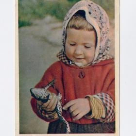 Открытка СССР Юный натуралист Гиппенрейтер 1958 чистая соцреализм детство лягушка дети интерес лапа