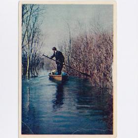 Открытка СССР Разлив Ильмень 1958 Гиппенрейтер чистая морщинки соцреализм озеро лодка весло вода