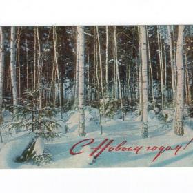 Открытка СССР Новый год 1969 Грачев чистая детство новогодняя зимний пейзаж лес елка береза сугроб