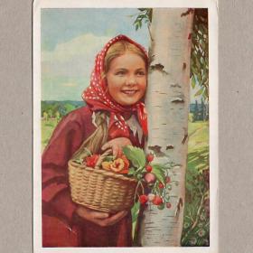 Открытка СССР. Девушка, береза. Хорунжий, 1958, подписана, соцреализм, ягоды, корзинка, косынка