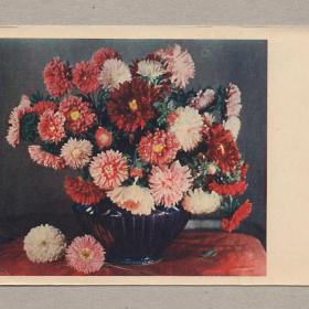 Открытка СССР Астры Георгины Игнатович 1956 чистая цветы букет ваза стиль красота стол праздник