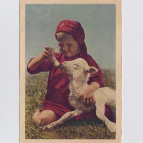 Открытка СССР Друзья 1954 Кнорринг чистая морщины заломы соцреализм детство дети любовь к животным