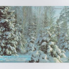 Открытка СССР Новый год 1988 Костенко чистая двойная детство новогодняя зимний лес пейзаж елка снег
