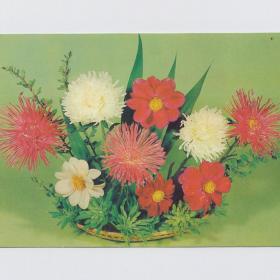 Открытка СССР Цветы 1983 Круцко чистая цветочная композиция букет хризантемы плетеная ваза астра