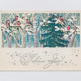 Открытка СССР Новый год 1968 Круглов подписана зимний лес природа птицы снегири чудо праздник елка