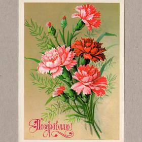 Открытка СССР Поздравляю Куртенко 1980 чистая цветы букет поздравление праздник подарок гвоздики
