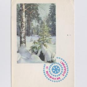 Открытка СССР Новый год 1967 Комлев Матанов подписана зимний лес береза снег сугробы природа елка
