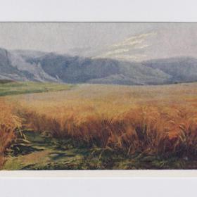 Открытка СССР В горах Армении 1957 Мхитарян чистая соцреализм живопись рожь поле горы пейзаж небо