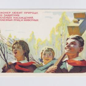 Открытка СССР Законы юных пионеров 1964 Соловьев чистая пионер любит природу защитник птиц животных