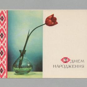 Открытка СССР День рождения 1960-е Олешкевич Миндель украинская поздравительная ваза цветы тюльпан
