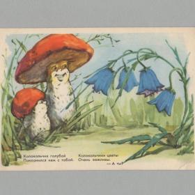 Открытка СССР детская 1959 Осадчая чистая морщинки стихи колокольчики цветы грибы воспитание дети