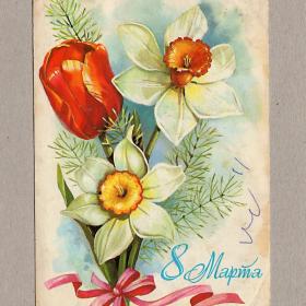 Открытка СССР. 8 Марта. Панченко, 1985, подписана, цветы, тюльпан, нарцисс, праздник, весна, лента