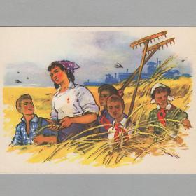 Открытка СССР Будущие агрономы 1960 Панов чистая соцреализм дети детство пионерия колхоз герой труд