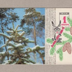 Открытка СССР Новый год 1969 Раскин Пармеев чистая календарь заяц елка ветка шишка конфета 1 января