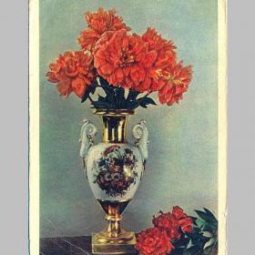 Открытка СССР. Пионы. Фото И. Шагина, 1956 г, чистая (цветы)