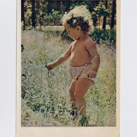 Открытка СССР Цветочек Шагин 1958 чистая соцреализм детство дети бутуз ребенок трава цветы здоровье