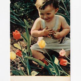 Открытка СССР. Ой, какие цветочки! Шагин, 1969, чистая, дети, тюльпаны, мальчик, радость, майка