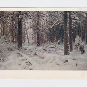 Открытка СССР Зима Шишкин 1958 чистая живопись русский музей пейзажист лес деревья сугробы снег хвоя