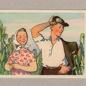 Открытка СССР Милый мой Тальберг 1956 чистая Грибачев соцреализм пара кукуруза косынка ромашка поле