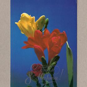 Открытка СССР. 8 Марта. Цупров, 1986 чистая цветок букет лилия весна женский день праздник радость