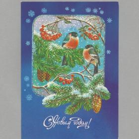Открытка СССР Новый год 1987 Жебелева подписана птицы снегири новогодняя ночь детство ветка дерево