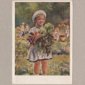 Открытка СССР С нашего огорода 1954 Жуков чистая соцреализм детство дети трудовое воспитание капуста