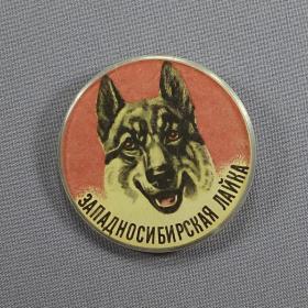 Значок СССР. Породы собак, западносибирская лайка, пластиковый, круглый, на булавке