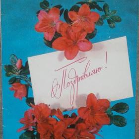 открытка Поздравляю СССР 1981г