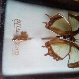 брошь-булавка  "Бабочка" натуральная в золотой оправе  