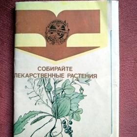 Набор открыток Собирайте лекарственные растения.. 1989 г. 