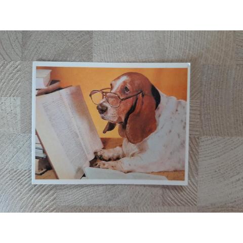 Календарь карманный Собаки 1995г