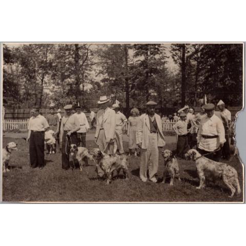 Фото СССР Выставка охотничьих собак 1950 г.